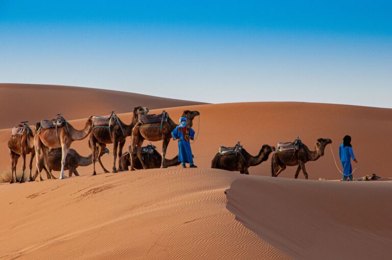 4 days tous to descover erg chebbi desert from Errachidia.